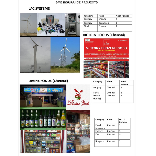 SME INSURANCE PROJECTS